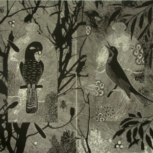 Jenny Kitchener - In the service of trees: bird pollinators