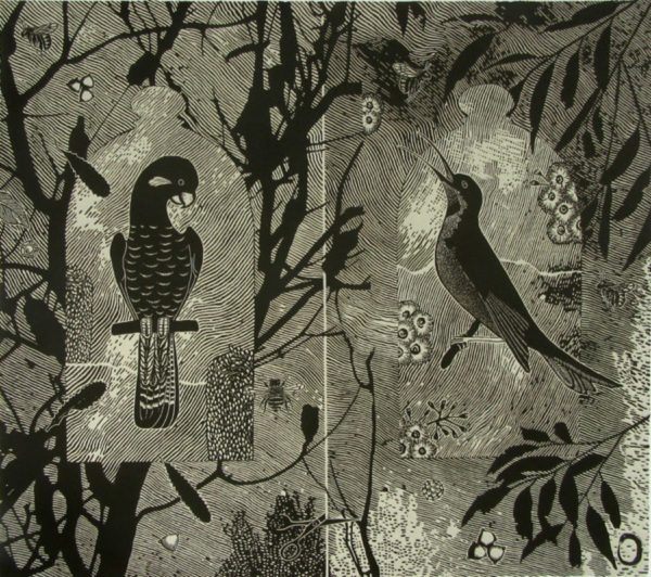 Jenny Kitchener - In the service of trees: bird pollinators