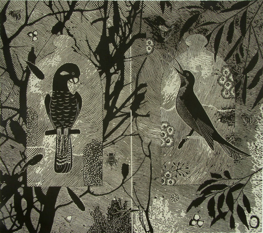 Linocut
Image size: 51 x 58 cm
Paper size: 51 x 58 cm
PCA Print Commission 2017
This print pays homage to the bird pollinators, which along with insects are essential to the life-cycle of the many plant species that green our planet.
Banksia and gum blossom are favourites of the Australian bush bird pollinators, which include the honey-eater and the parrot families.