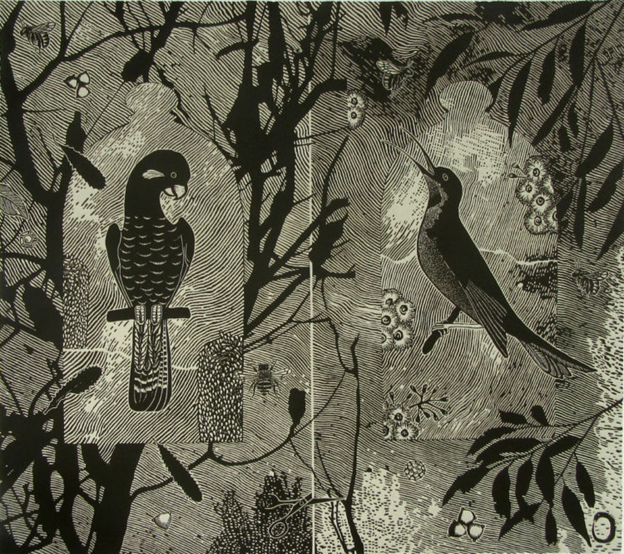 Linocut
Image size: 51 x 58 cm
Paper size: 51 x 58 cm
PCA Print Commission 2017
This print pays homage to the bird pollinators, which along with insects are essential to the life-cycle of the many plant species that green our planet.
Banksia and gum blossom are favourites of the Australian bush bird pollinators, which include the honey-eater and the parrot families.