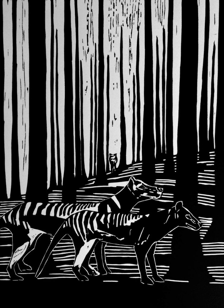 Katie Glaskin discusses her paintings and linocut prints drawing on historical images of thylacines to explore themes of loss, endangerment and extinction.