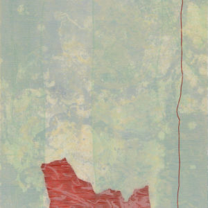Jo Lankester - Cortex: Balding Bay Walking Track