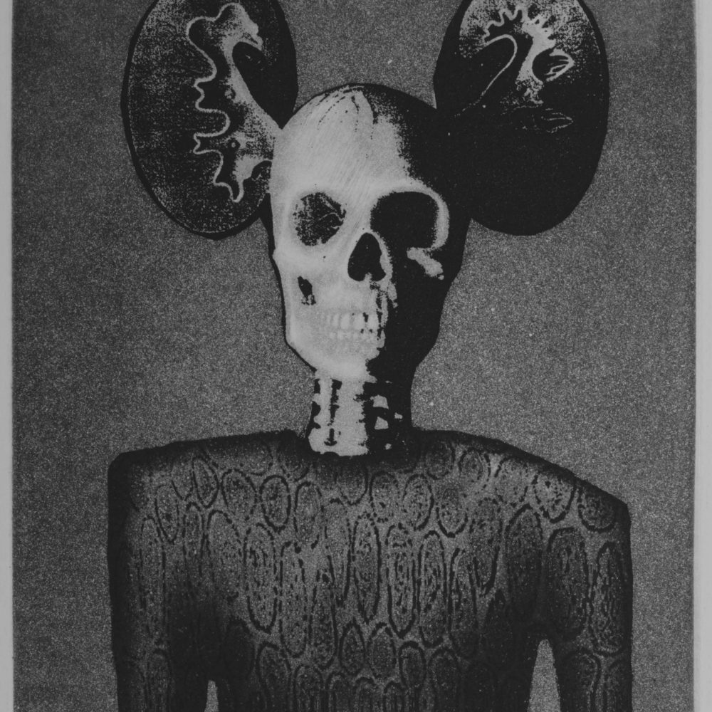 26 The Nonense Mutation, , 2008, Intaglio, 24.5 x 19 cm 26 The Nonense Mutation, , 2008, Intaglio, 24.5 x 19 cm