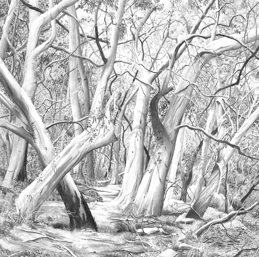 'brobdingnag' 2018, charcoal on paper