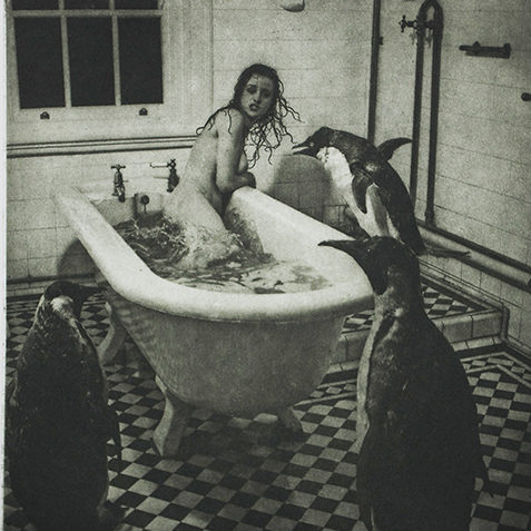 Copperplate photogravure on BFK
Edition of 50
Image size: 16.5 x 16.5 cm
Paper size: 38 x 28 cm
PCA Print Commission 2012
The image suggests a retelling of the story of Goldilocks and the bears. In a collision of realities, a bather's solitude in a period bathroom is invaded by screeching penguins.
Stability is fugitive, insecurity is a fact.