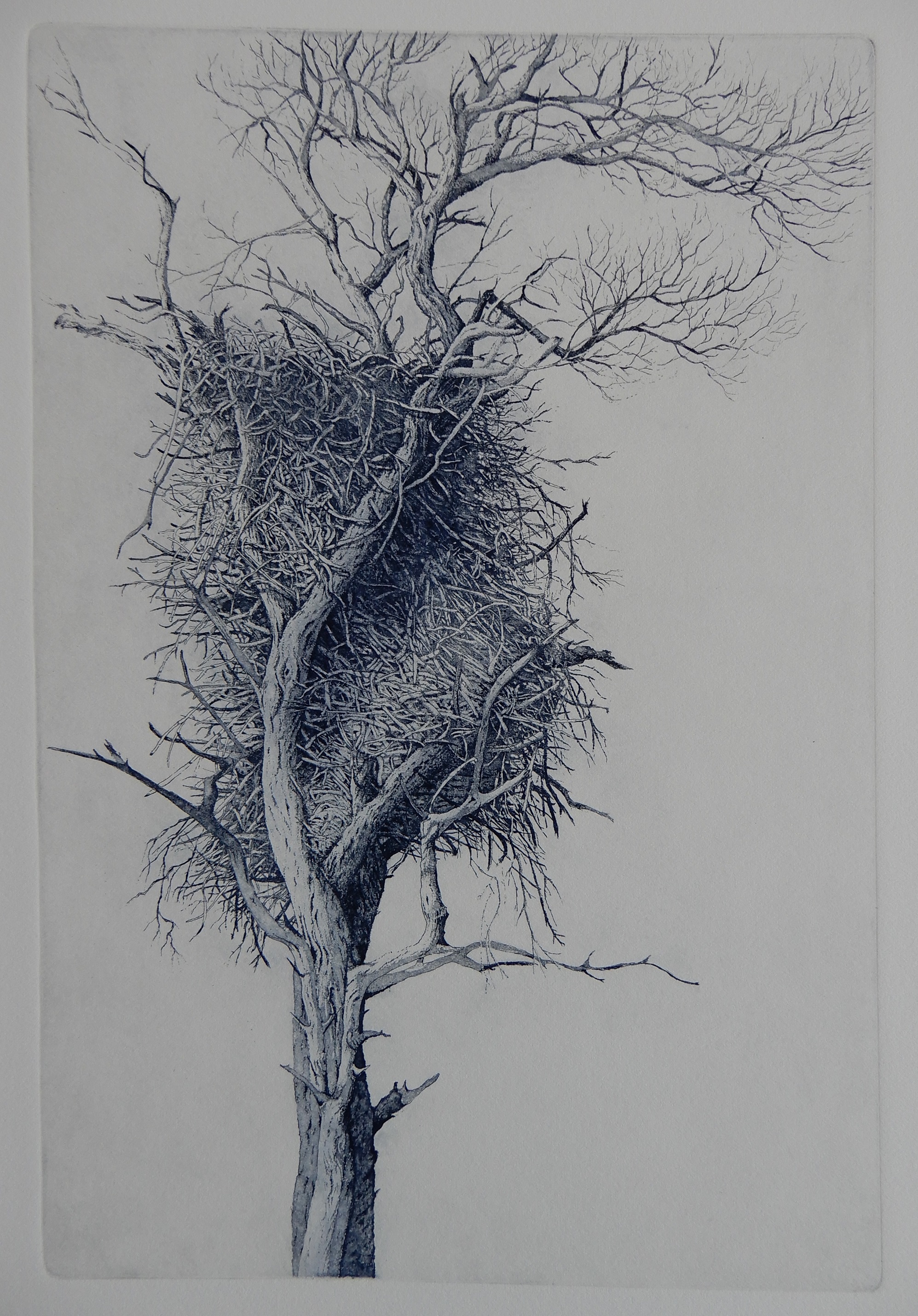 E Steyn - Eyrie