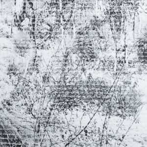 Layli Rakhsha - From series of home
