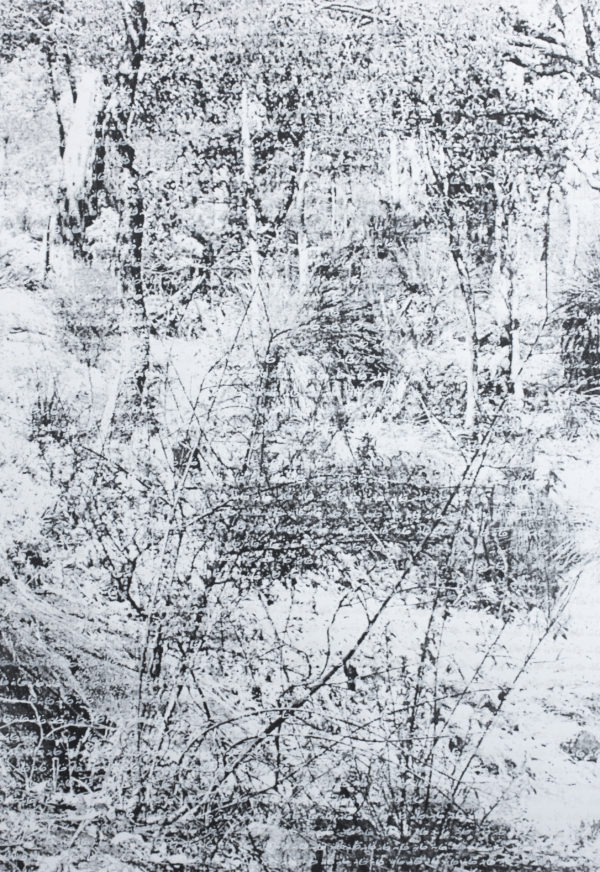 Layli Rakhsha - From series of home