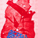 Chris De Rosa - Gigartina tetra spongia
