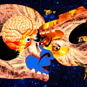 Kate Zizys - Panspermia Revolution