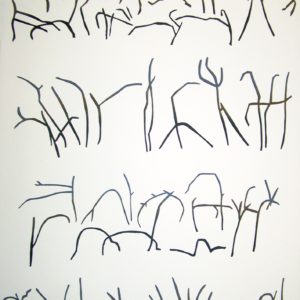 G W Bot - Glyphs