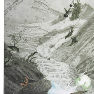 Gracia Haby and Louise Jennison - A lament to the sleeping Kingfisher