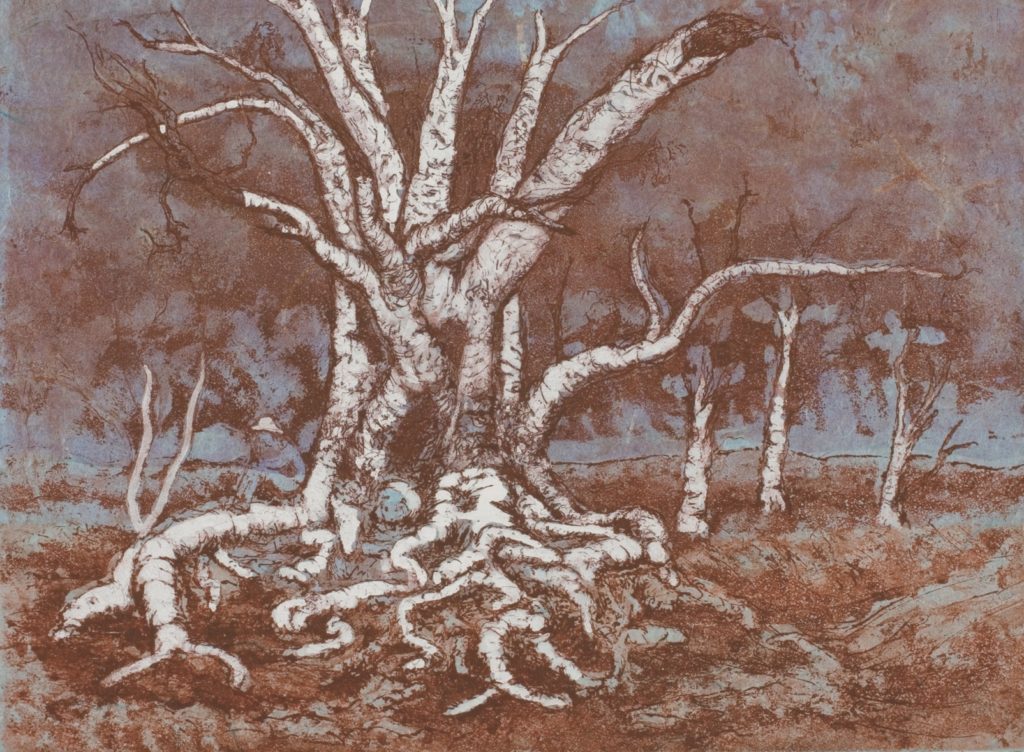 Etching, chine colle, watercolour
Edition of 46
Image size: 22.4 x 30.4 cm (combined)
Paper size: 28 x 38 cm
PCA Print Commission 2005
Reflection was inspired by a new body of work. It echoes my passion for the old gnarled River Red gums that are slowly dying. This etching is derived from a pen and ink drawing. The plate was prepared with a wine-coloured ink and four layers of rice paper, and the tree highlighted with gouache.