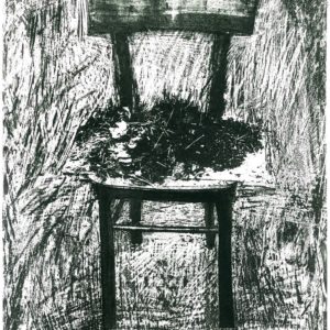 Marea Atkinson - The Spectator Series