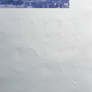 Alexis Beckett - Fleeting