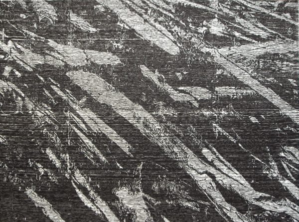 Basema Mahdi - Forest Debris-Cotter River