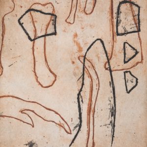 Anne McMaster - Kangaroo Bones, Broken Crockery, Drought