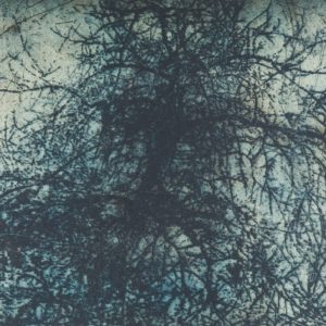 Justin McShane - five winters