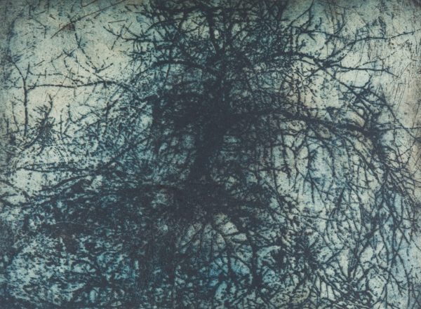 Justin McShane - five winters