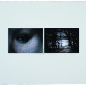 Sophia Szilagyi - where shadows lie (diptych)