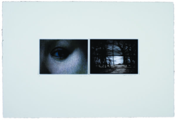 Sophia Szilagyi - where shadows lie (diptych)