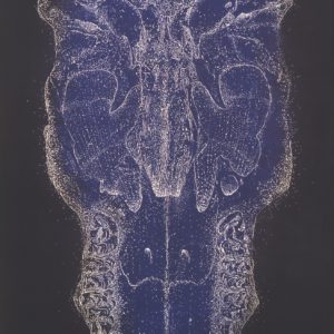 Tony Ameneiro - Small Night Skull