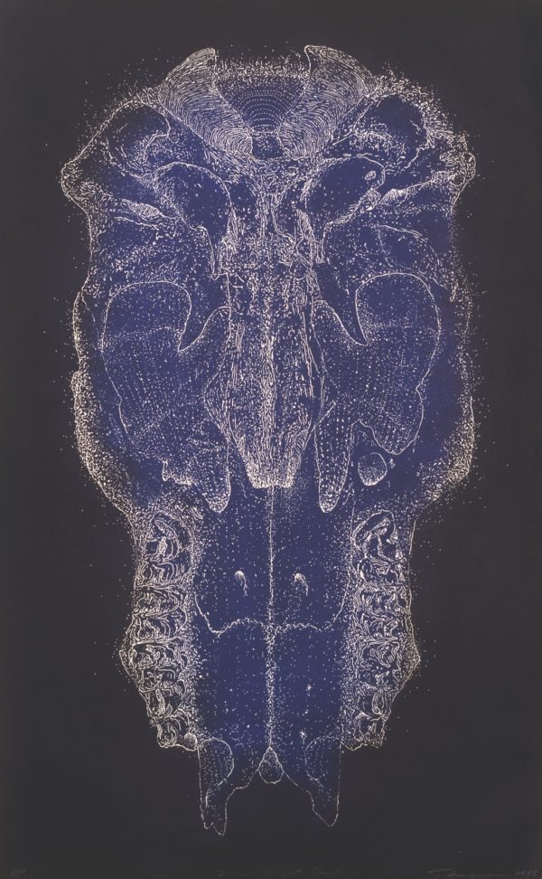 Tony Ameneiro - Small Night Skull