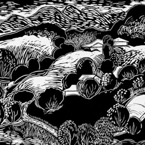 Shirley Strano - Eumundi Range