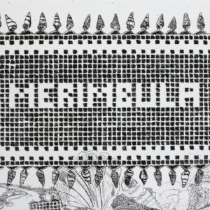 Mary Newsome - Remembrance of Things Past