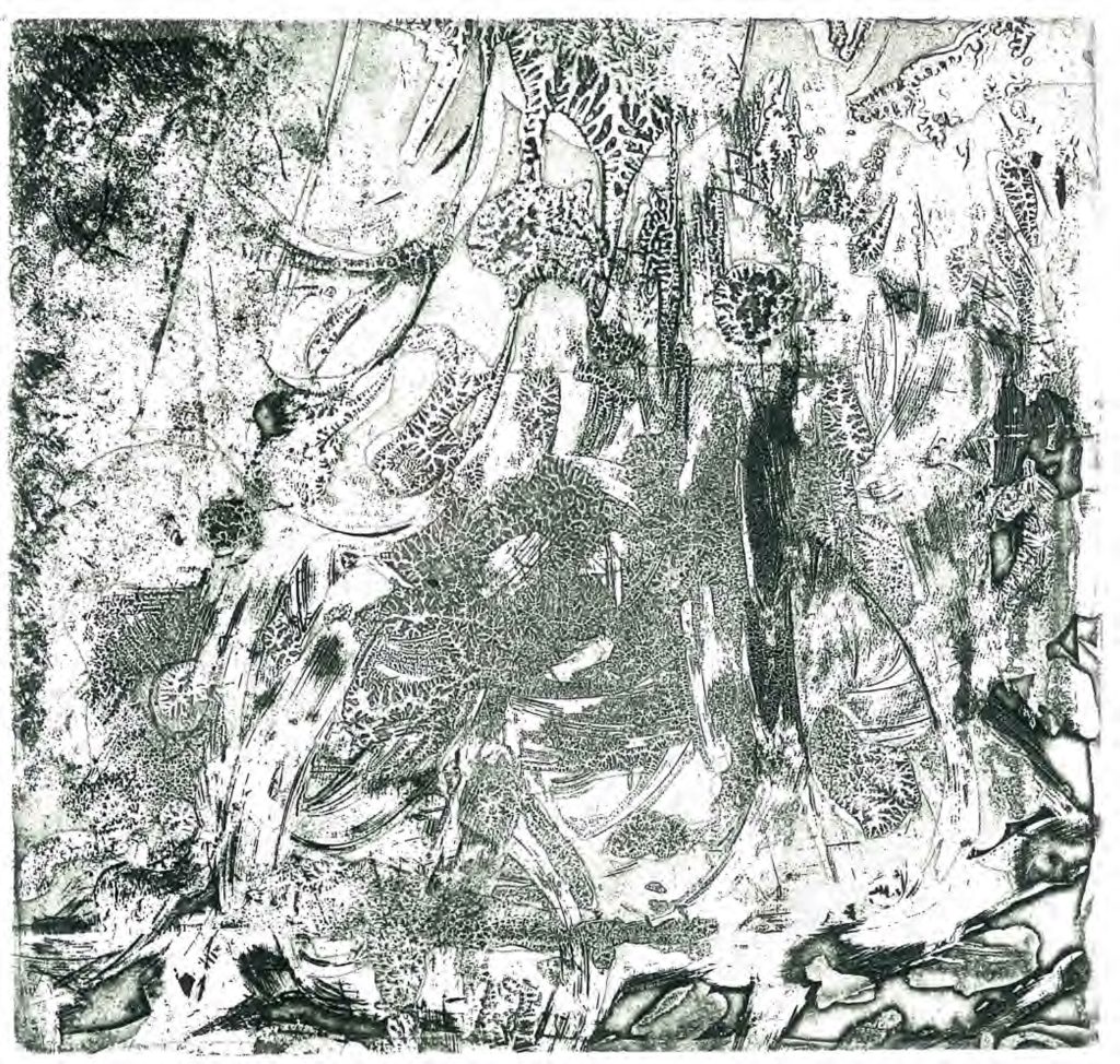 Etching
16.5 x 17 cm
Printed by Anne McMaster
100 x 100 Portfolio, 1988