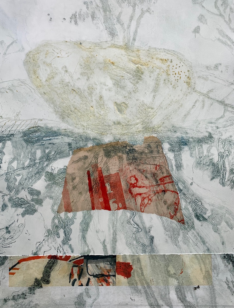 Image1