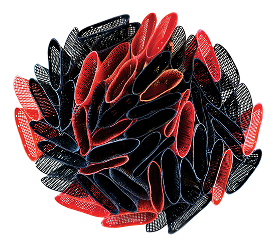 3. Carmel Wallace Cluster 2019, plastic burley baskets, cable-ties, wire mesh H95 x W100 x D27cm