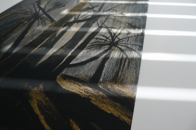 4.Low Res_Work in Progress(Enjoying the play of light from the Venetian Blinds)_Sue Cooke (640x427)