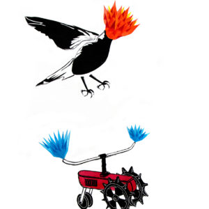 AHC McDonald – Singing Magpie, Swooping Season