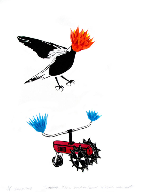 AHC McDonald – Singing Magpie, Swooping Season