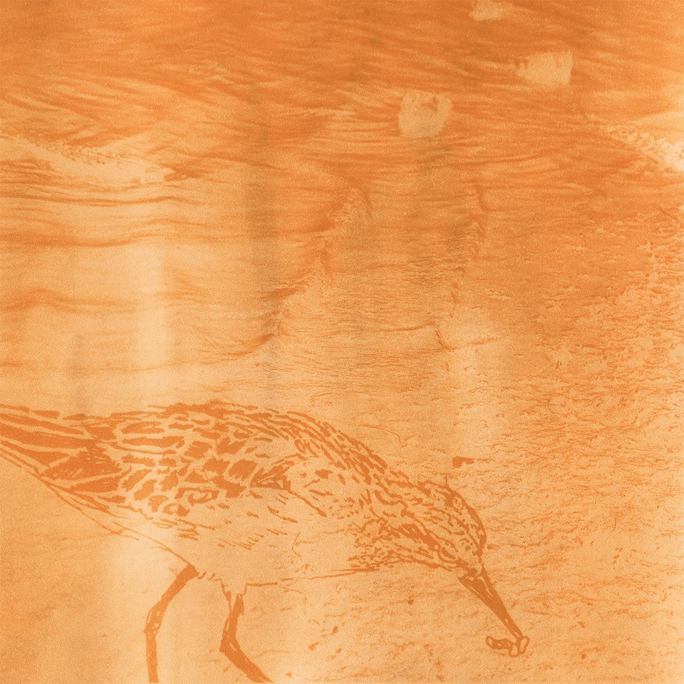 3. Phillips Perdita