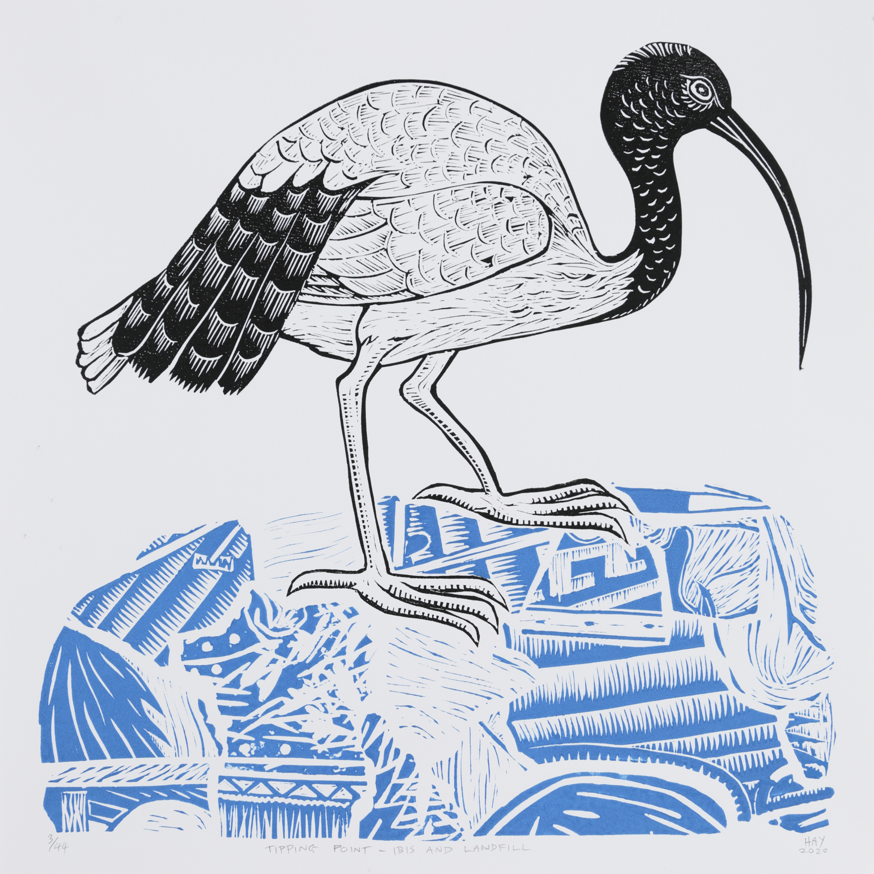 Bill Hay_Tipping Point - Ibis And Landfill_2020_relief print_38x38cm