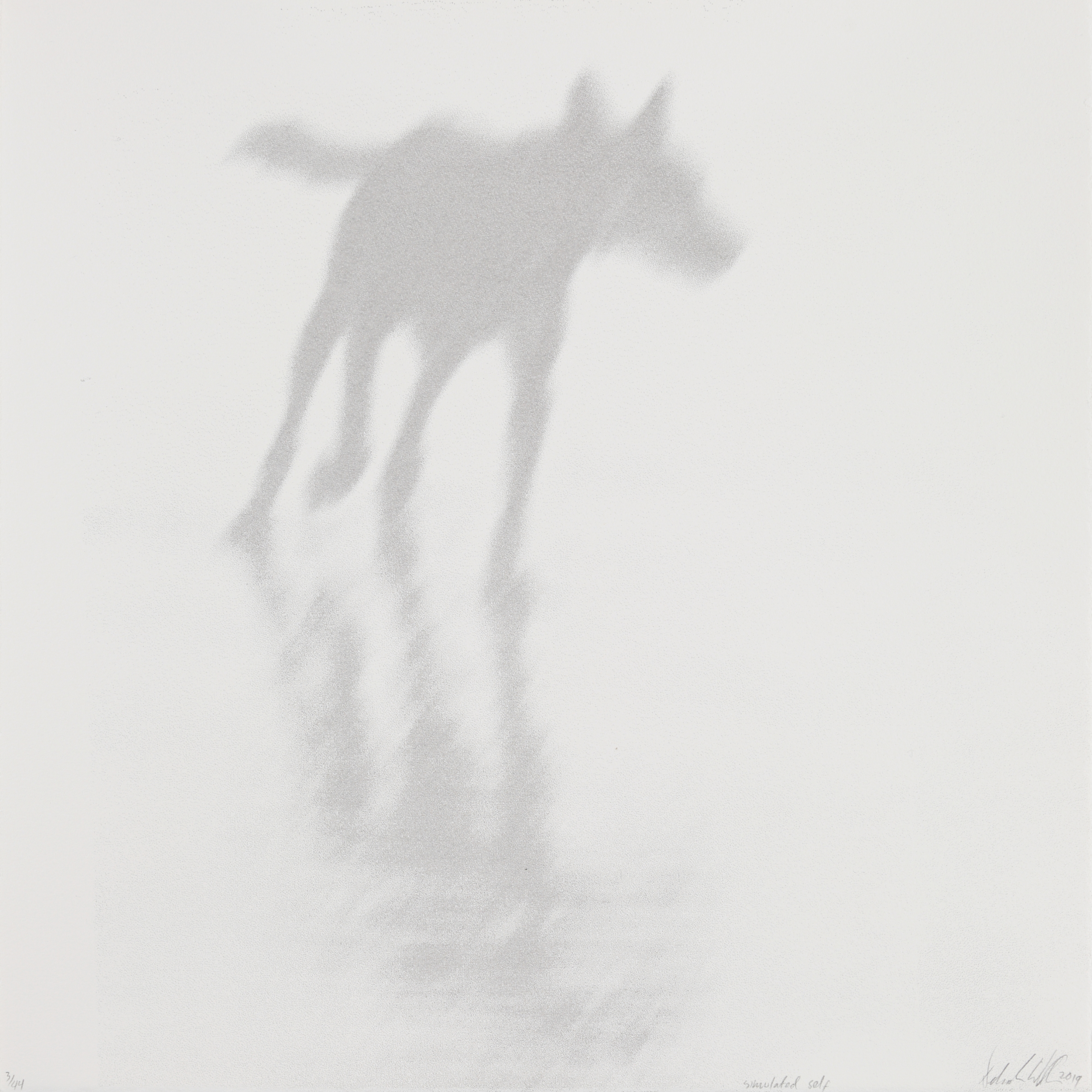Deborah Williams_simulated self_2019_screenprint_38x38cm