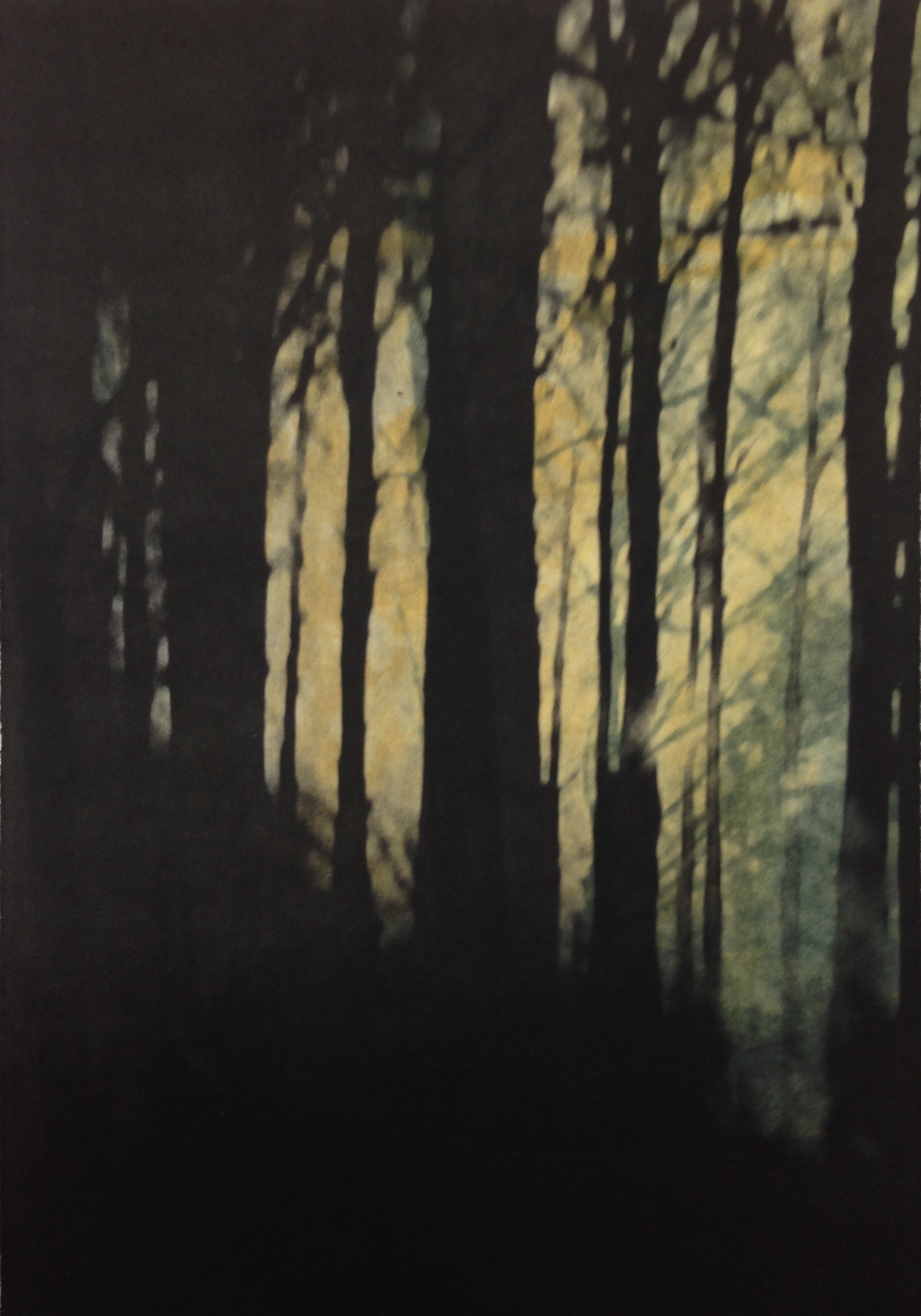 Judy Smith, Morning Interlude,2017, Multiple solar plate etching,U S, 20x28cms