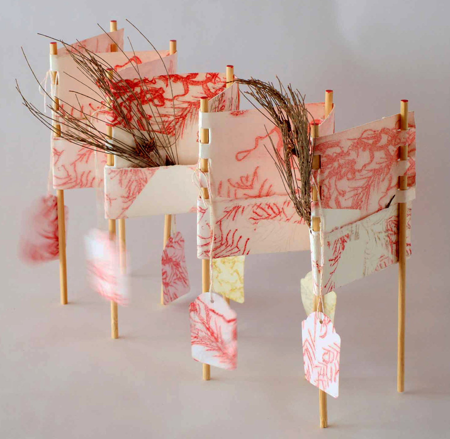 anna_warren_herbarium_2015_monoprint assemblage_20x38cm
