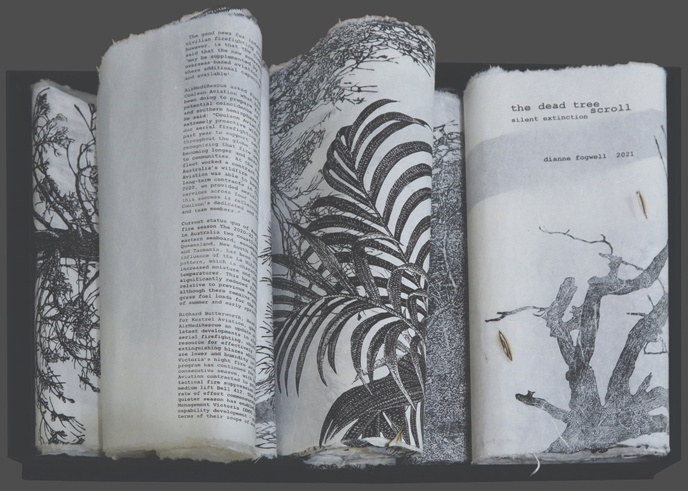 Fogwell_Dianne-2021-The Dead Tree Scroll – Silent Extinction-artist's book, linocut, burn drawings, chemical text transfer, found object, solander box