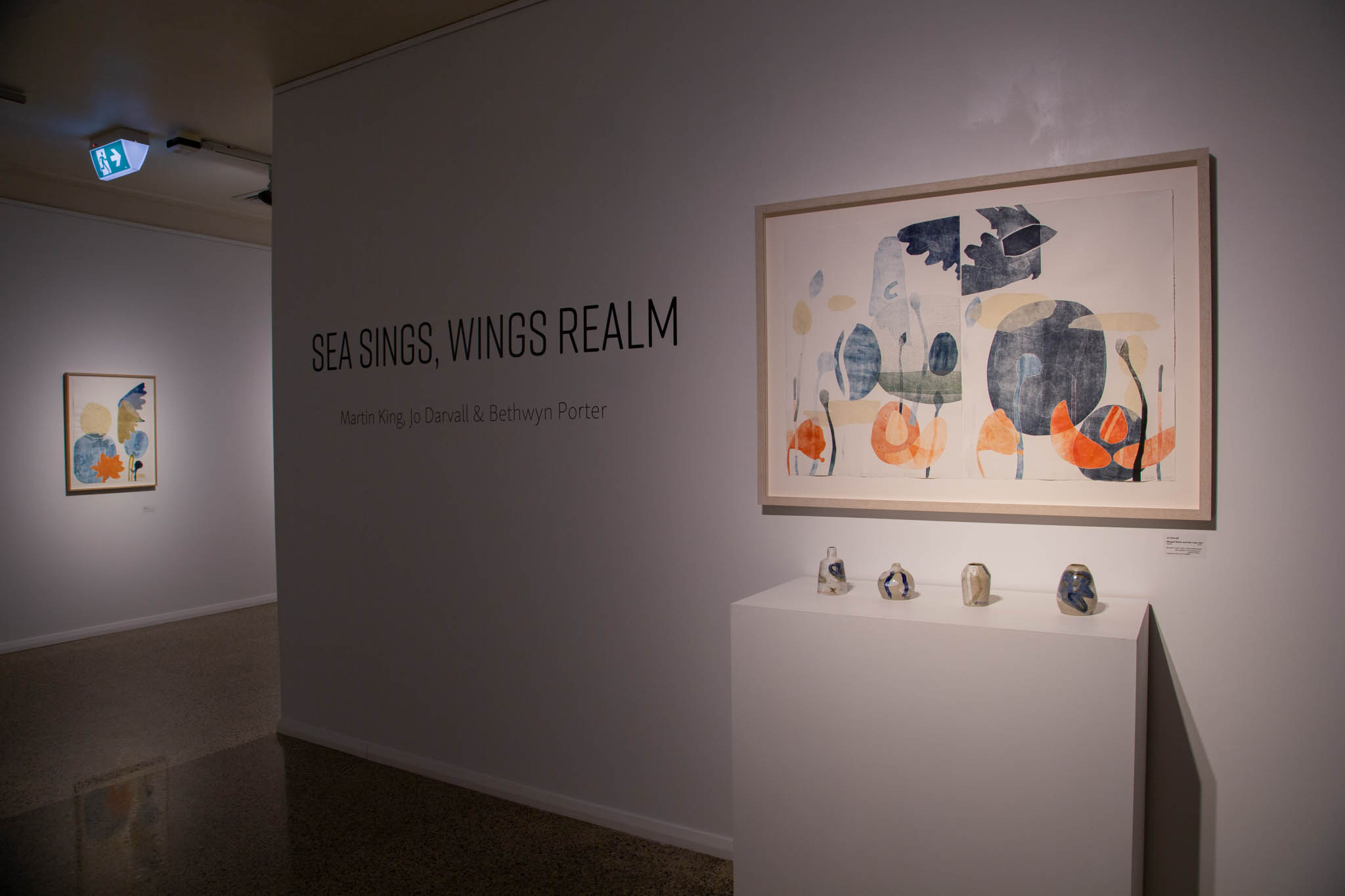 Image No 5 Geraldon Regional Art Gallery. Group exhibition Sea sings Winged Photo credit Will Upchurch