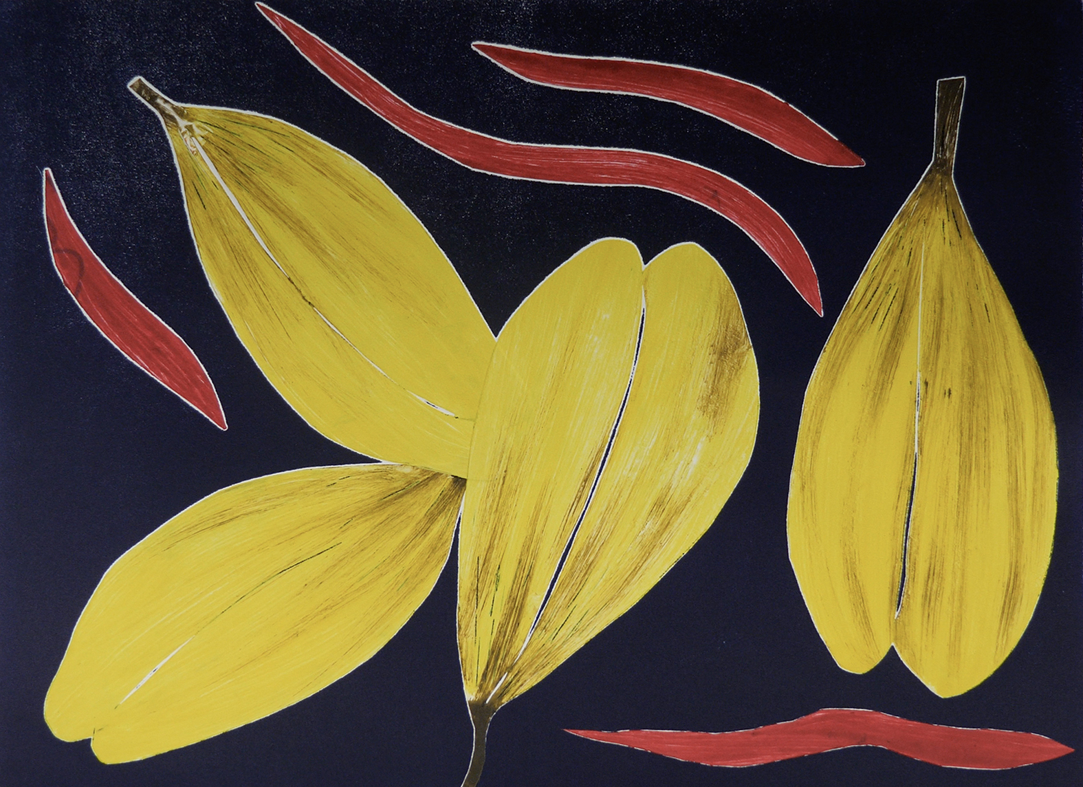 Ruth-Saveka_Wongai Season_37x50_monotype_2021