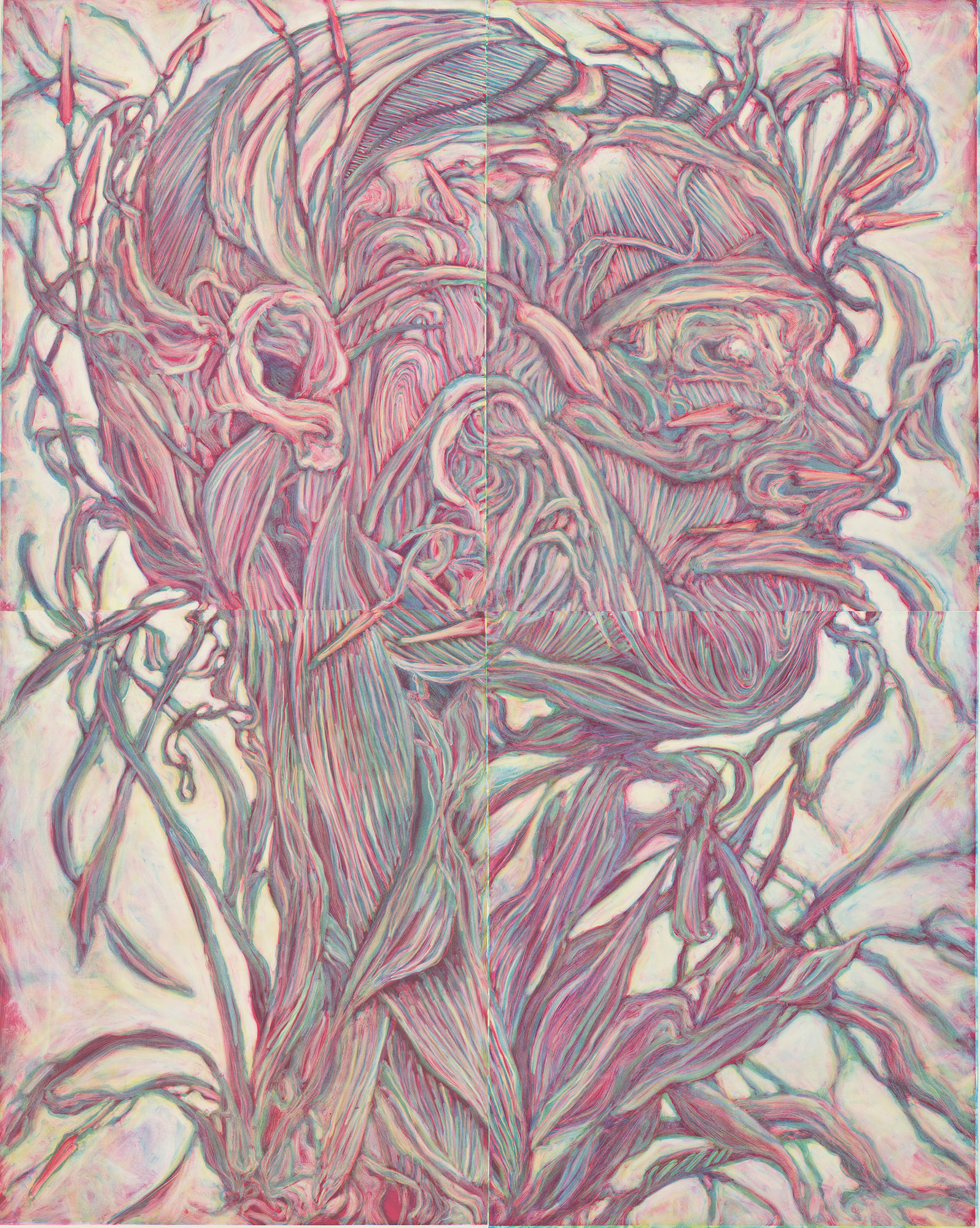 Flowering Head Derecha_2013_190H x150W_multi-plate multipanel colour monotype_collection Charles Sturt University