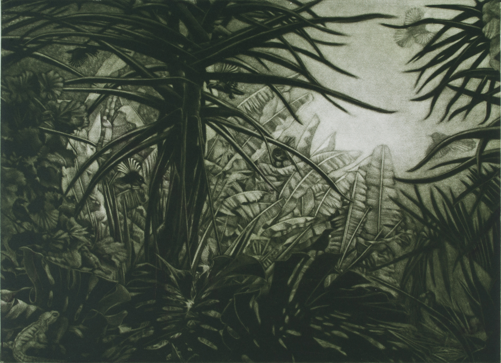 Mulder_Nan_ Towards Strangeness_mezzotint-32x42cm-2019 copy