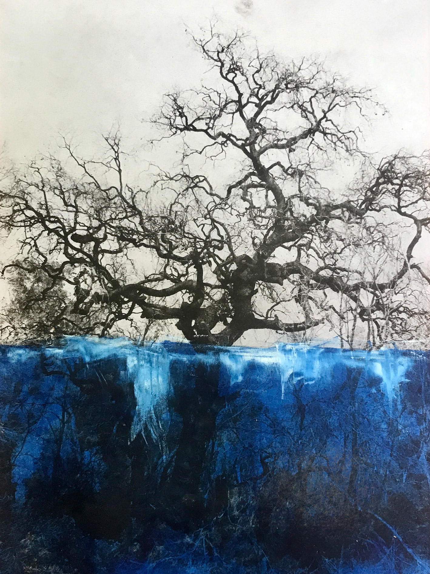 PCA_Drowning_Tree_Ciemitis_Caughey