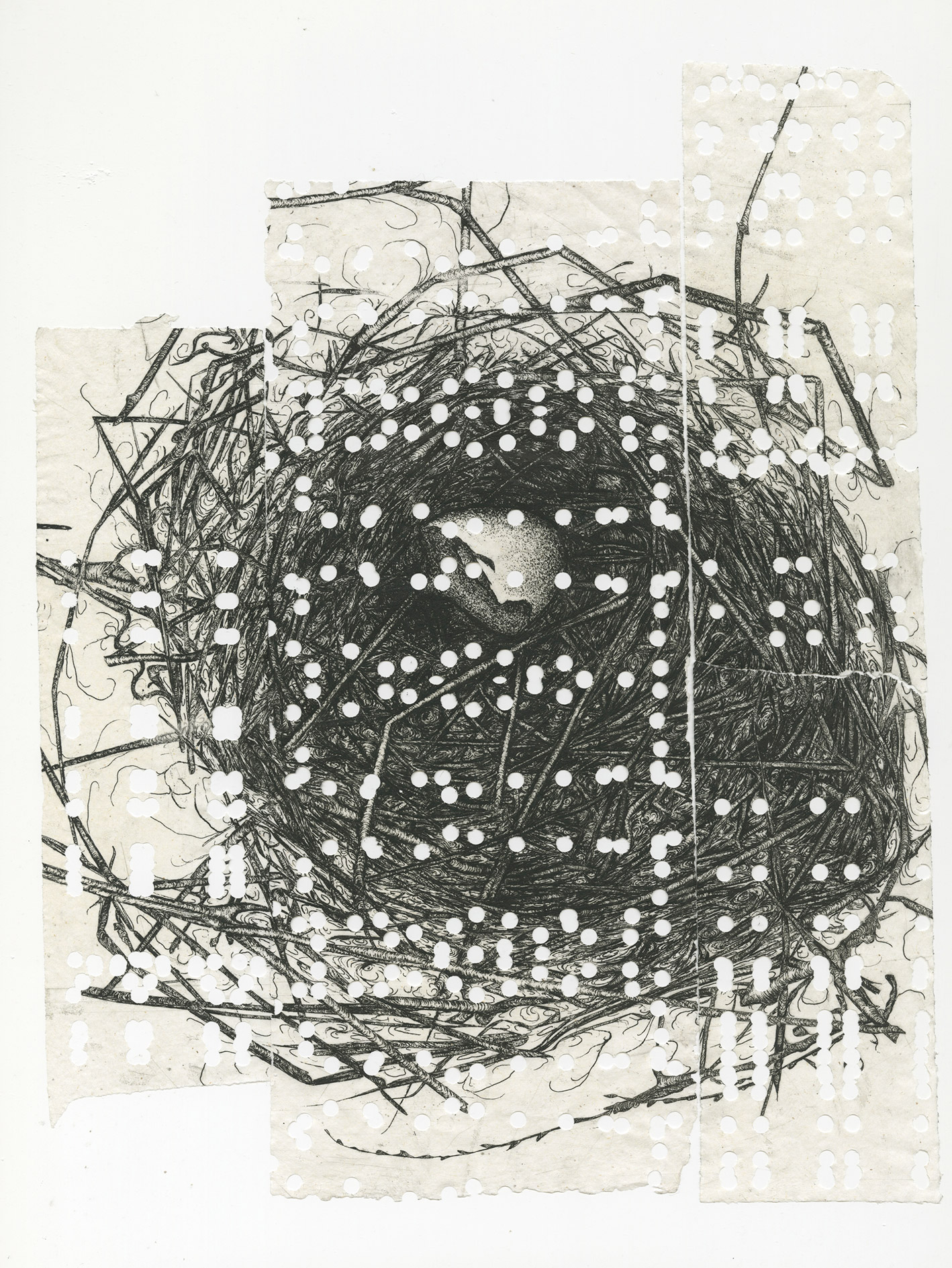 PCA_Nest_Singel_Hocking
