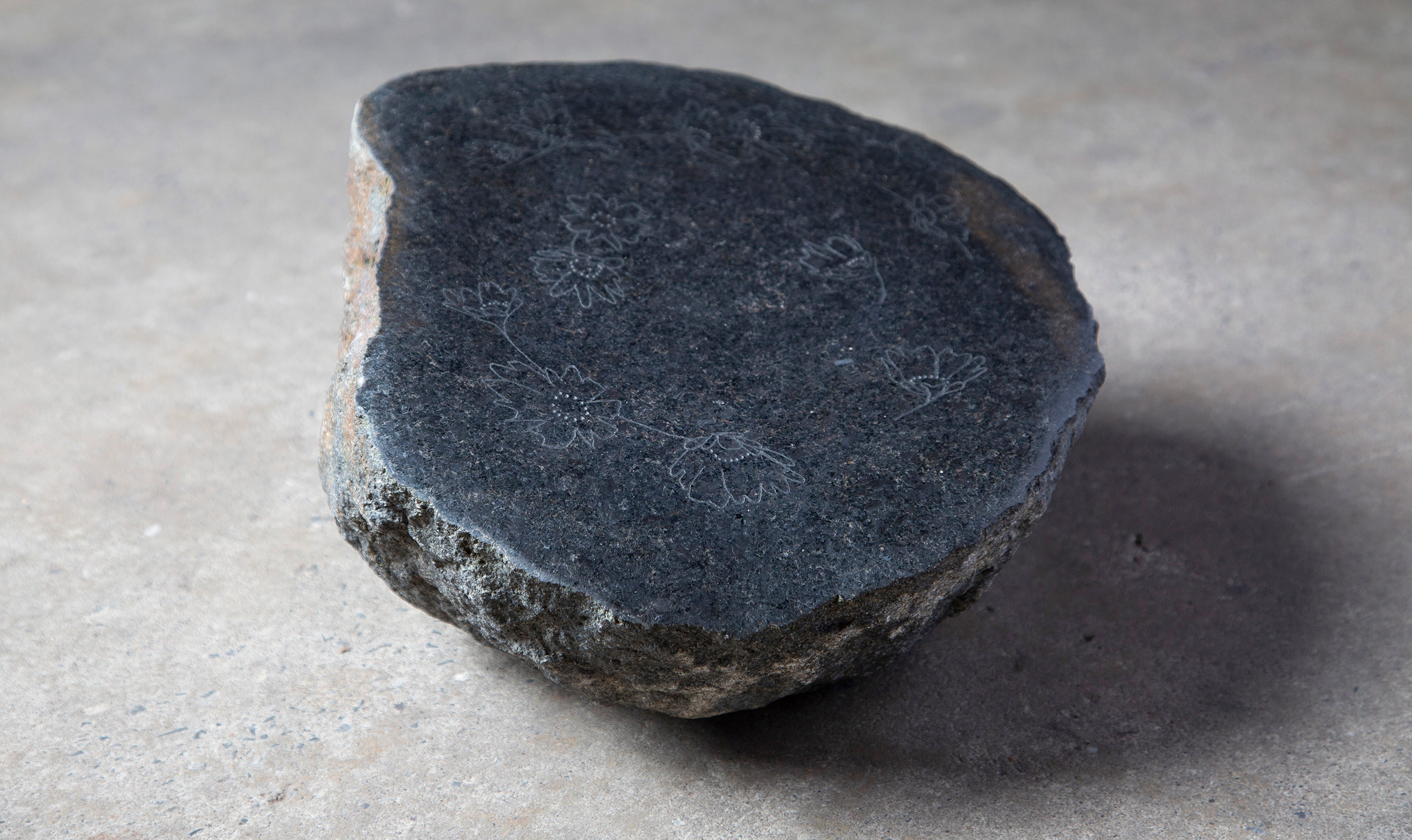 PCA_OkanaganSunflowerRock_Cholewa