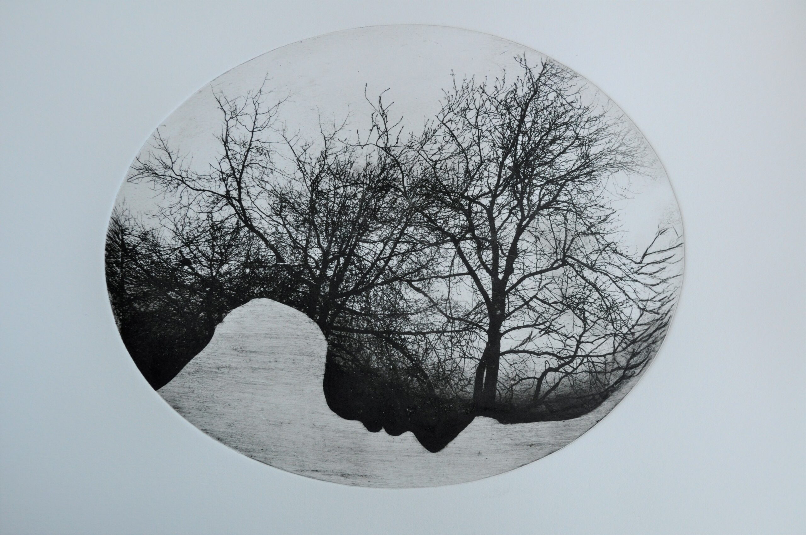 PMD 'Terra' 2021 photopolymer intaglio 20 x 25 cm