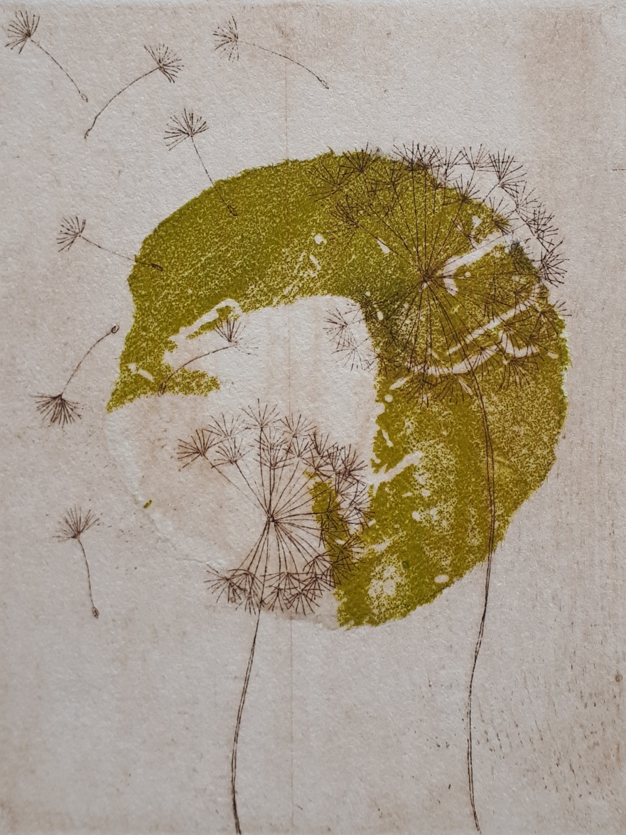 Amanda Donohue _ Wishing